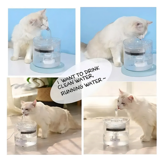 Bebedero Automático Para Mascotas